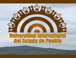 DGTIC asesora a la Universidad Intercultural del Estado de Puebla