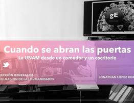 Reinicia, en línea, el Seminario de Redes Sociales y Entornos Digitales de la UNAM