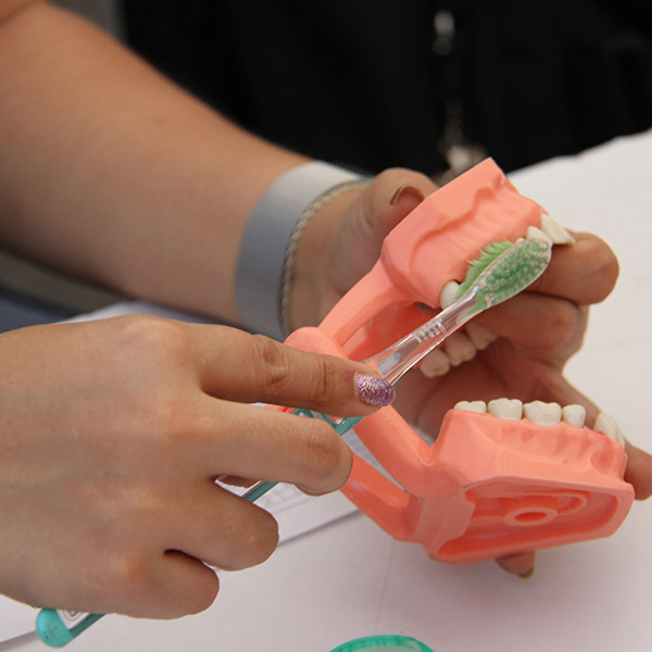 Acciones para promover una cultura de la salud para todas y todos